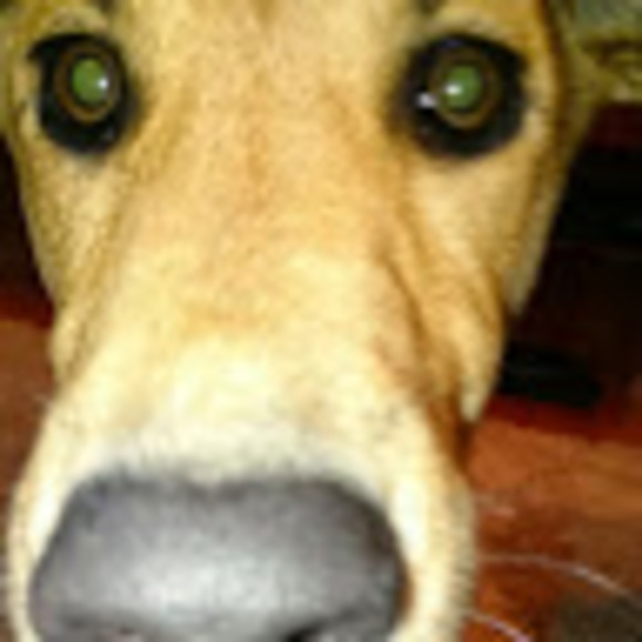 Meet your Posher, Ryan - Picture 1 of 1